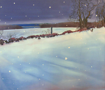 Sue McNally