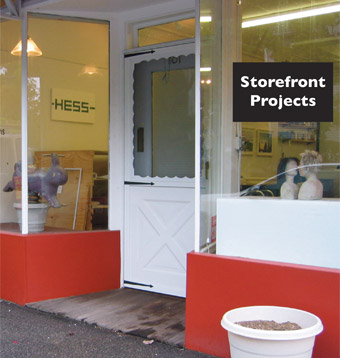 Storefront Projects
